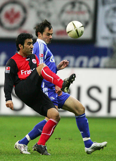 已经抵达纽 已经抵达纽