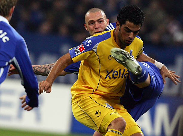 的活力与节 的活力与节